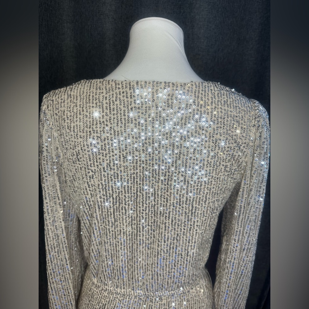 Alter’d State Silver Sequin Mini Dress – Size S - Picture 11 of 14
